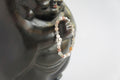 Spirit Feather Pig Spirit Animal Beaded Bracelet