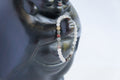 Spirit Feather Hormone Balancing Beaded Bracelet